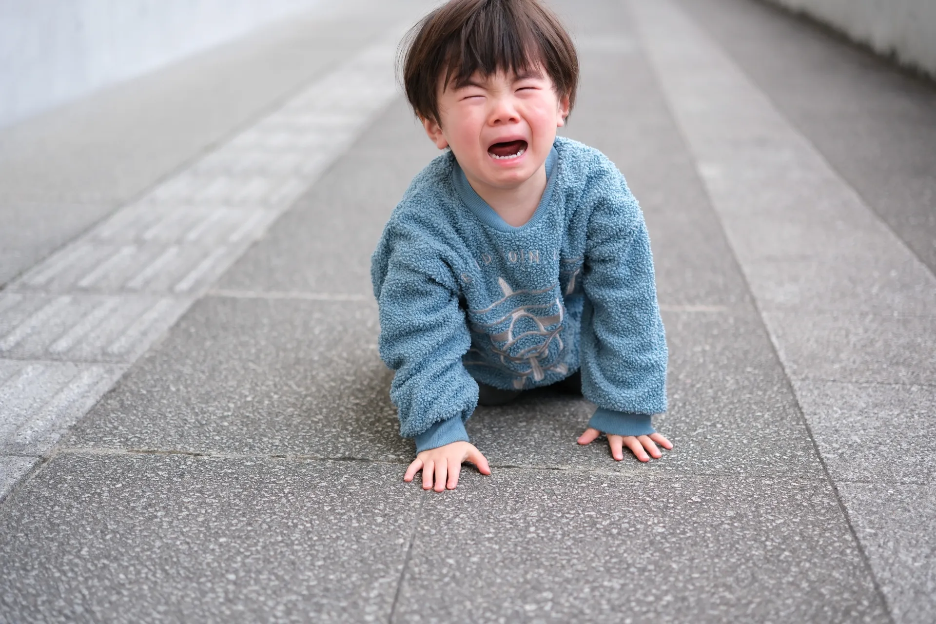 イヤイヤ期（2歳～3歳）の癇癪：カウンセリング（子どもの癇癪）